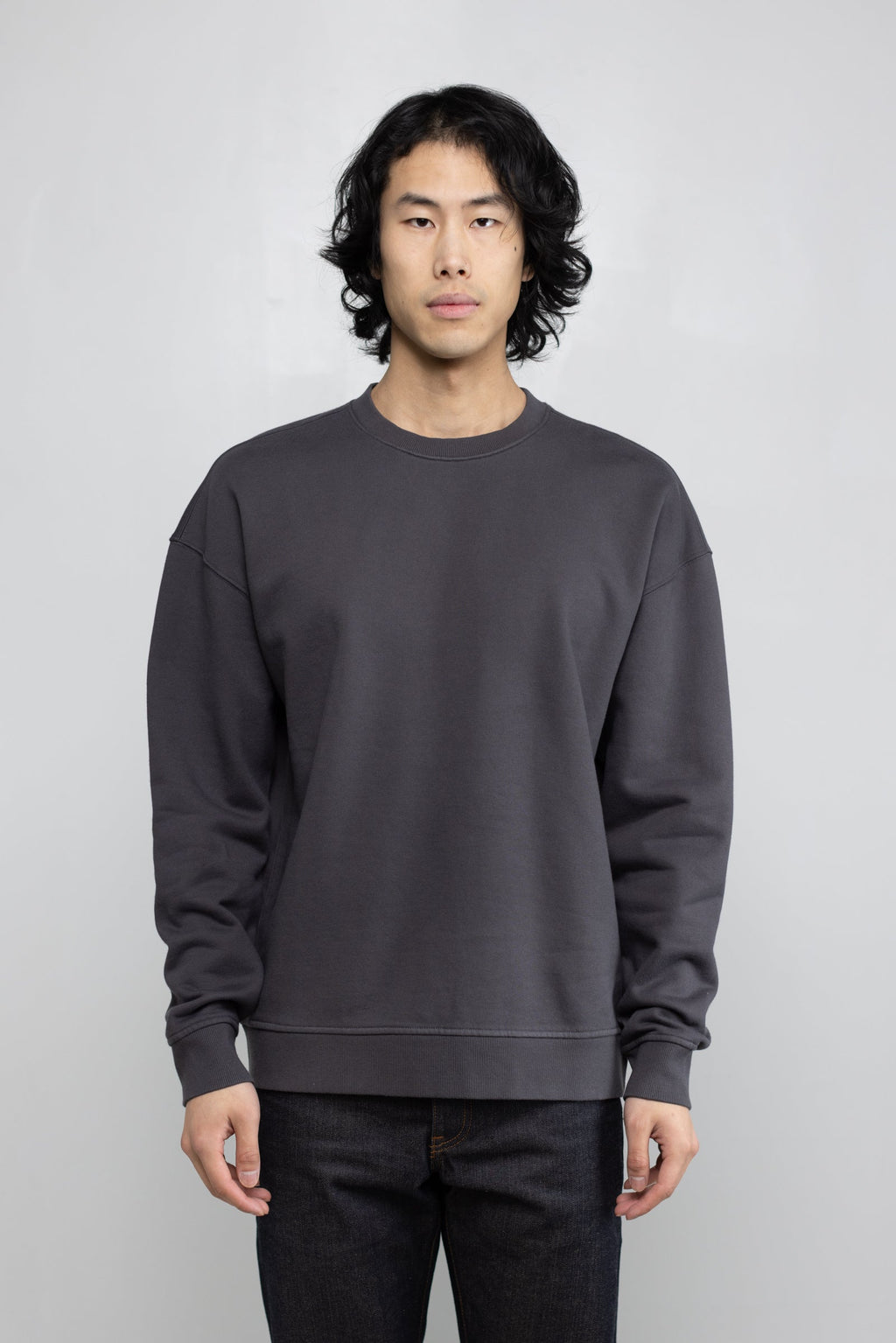 Cotton Fleece Sweatshirt in Ash 01