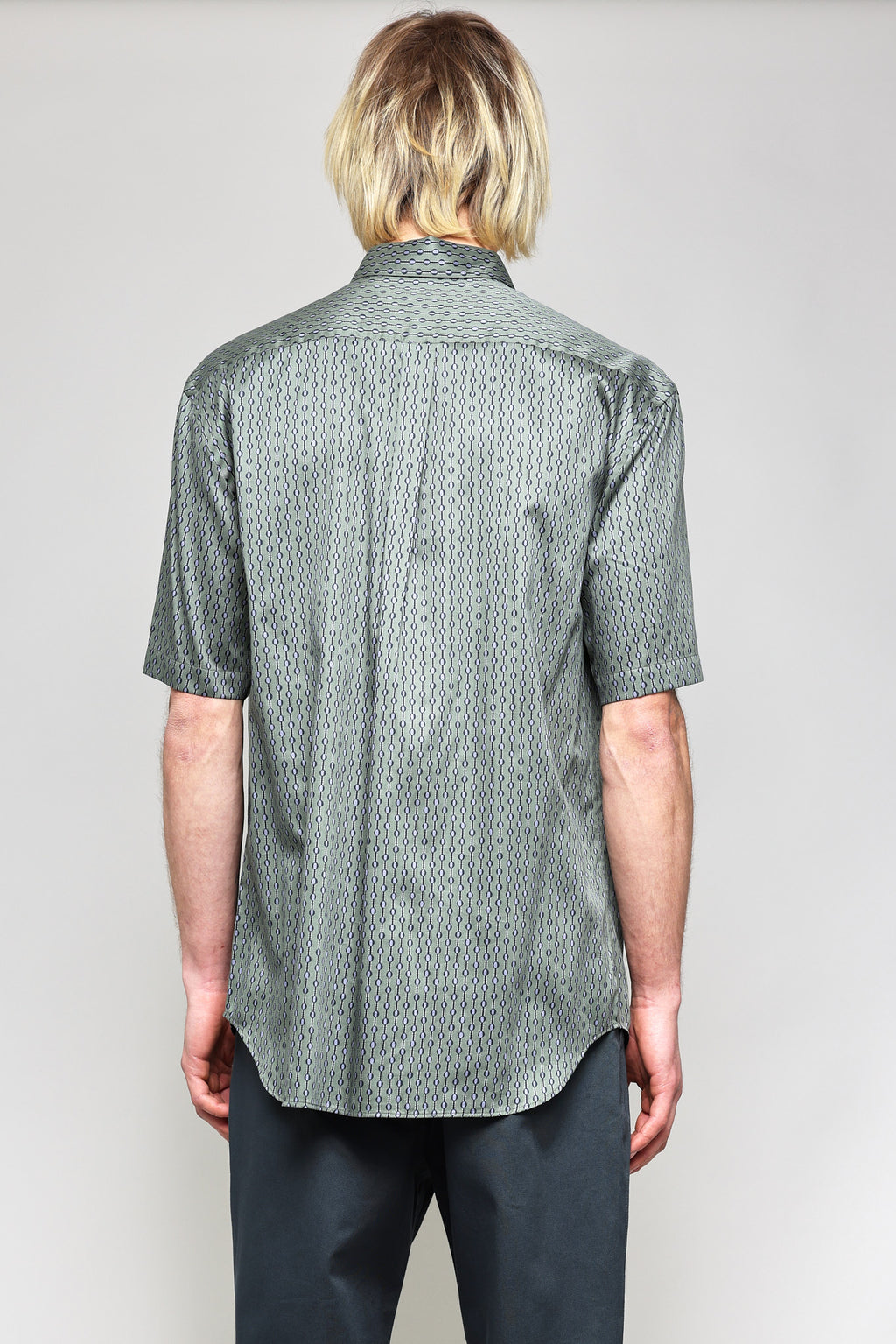 Japanese Dotted Stripe Print in Green 03