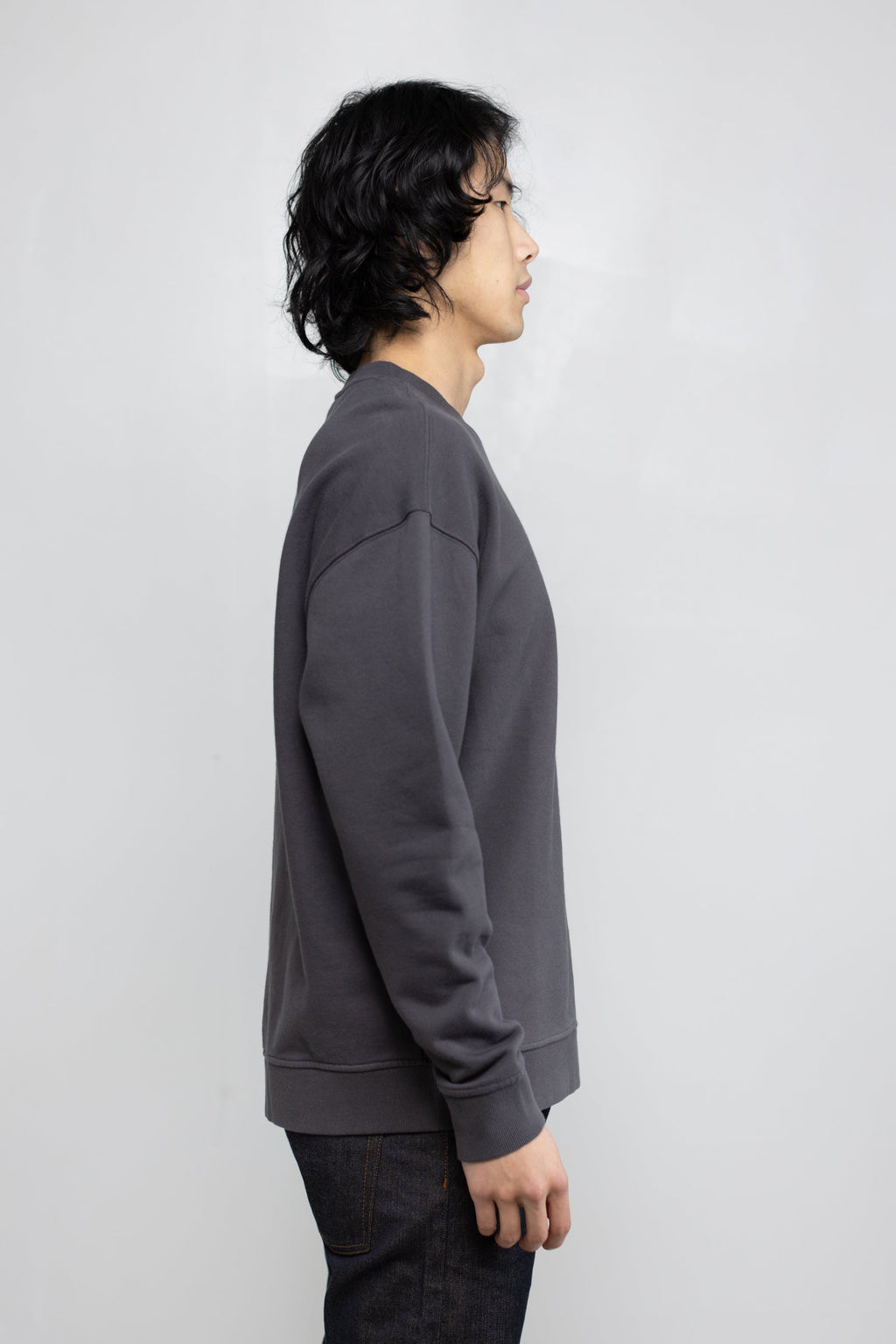 Cotton Fleece Sweatshirt in Ash 04